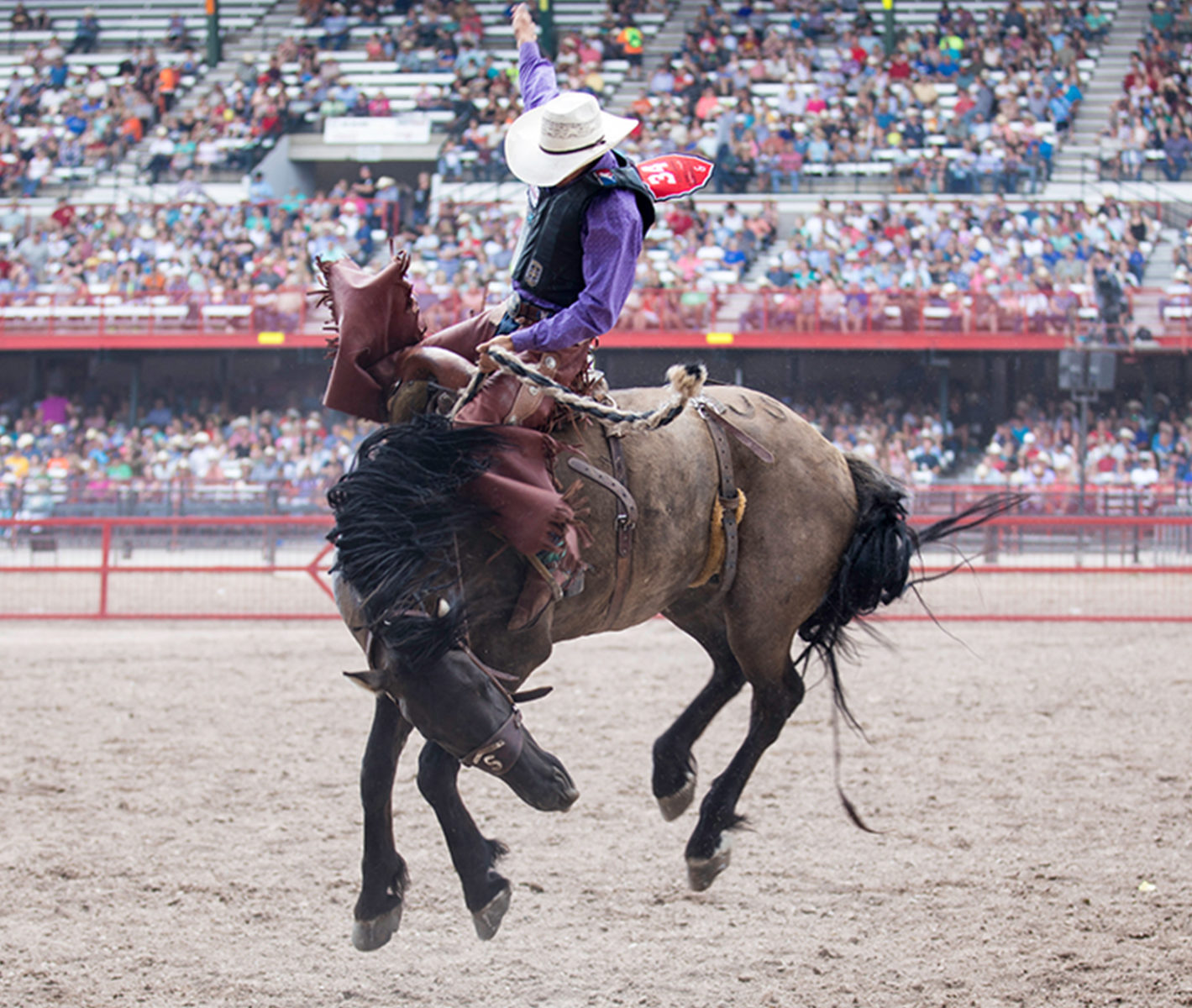 Cheyenne Frontier Days Rodeo Seating Chart